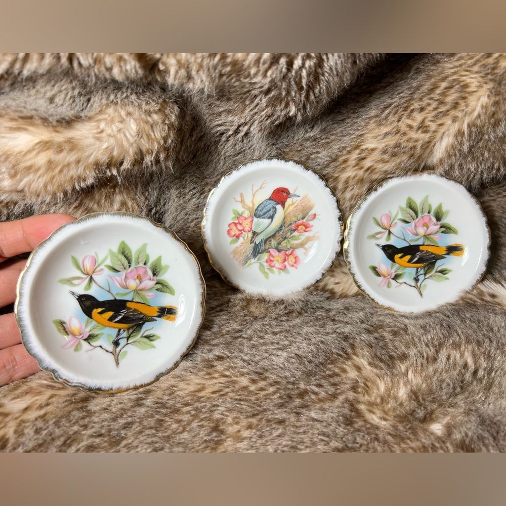 Miniature Porcelain Bird Plates Perched On Branches With Flowers White Gold Trim